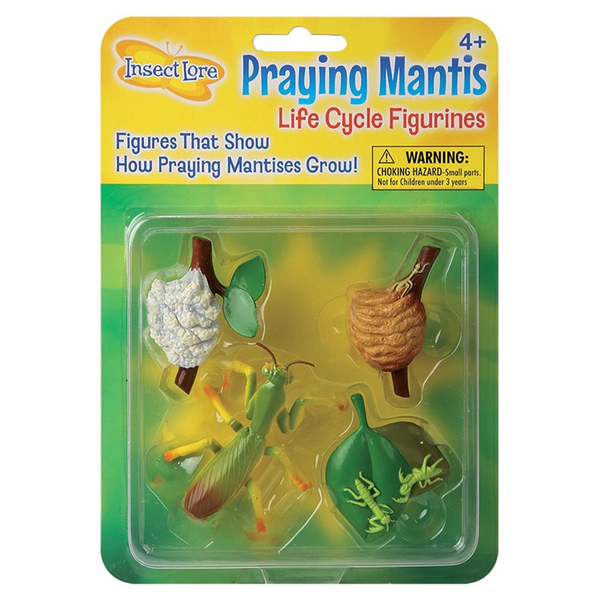 Insect Lore Praying Mantis Life Cycle Stages Figure Set 2510